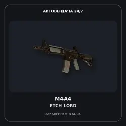 M4A4 | Etch Lord | Battle-Scarred