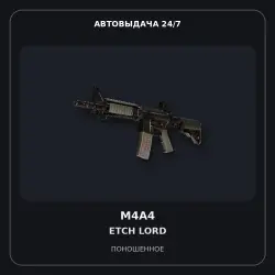 M4A4 | Etch Lord | Поношенное