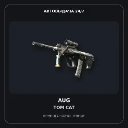 StatTrak AUG | Tom Cat | Minimal Wear