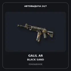 StatTrak Galil AR | Black Sand | Well-Worn
