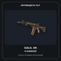 Galil AR | O-Ranger | Field-Tested