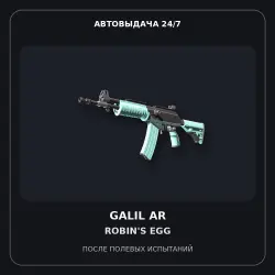 Galil AR | Robin's Egg | Field-Tested