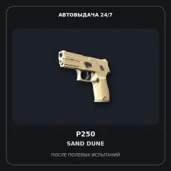 P250 | Sand Dune | Field-Tested