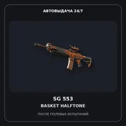 SG 553 | Basket Halftone | Field-Tested