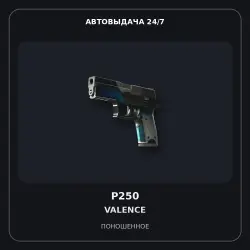 P250 | Valence | Well-Worn