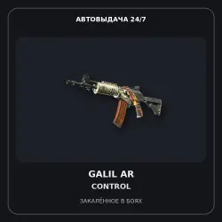 Galil AR | Control | Battle-Scarred