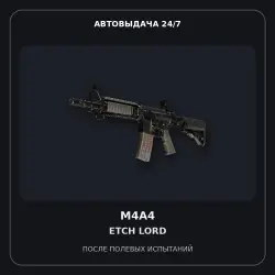 M4A4 | Etch Lord | Field-Tested