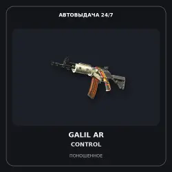 Galil AR | Control | Well-Worn