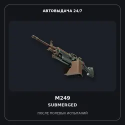 M249 | Submerged | Field-Tested