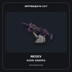 Negev | Sour Grapes | Well-Worn