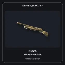 Nova | Marsh Grass | Factory New