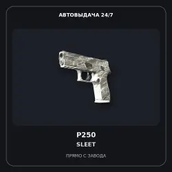 P250 | Sleet | Factory New