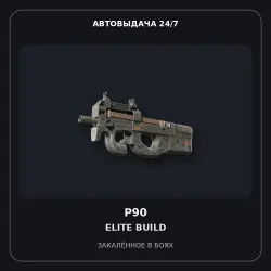 P90 | Elite Build | Battle-Scarred