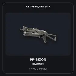 PP-Bizon | Bizoom | Factory New
