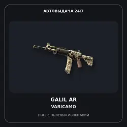 Galil AR | VariCamo | Field-Tested