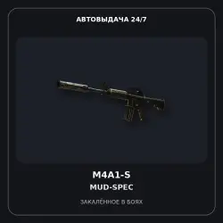 M4A1-S | Mud-Spec | Battle-Scarred