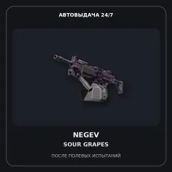 Negev | Sour Grapes | Field-Tested