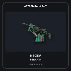 Negev | Terrain | Well-Worn