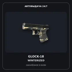 Glock-18 | Winterized | Battle-Scarred