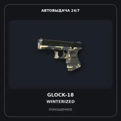 Glock-18 | Winterized | Well-Worn