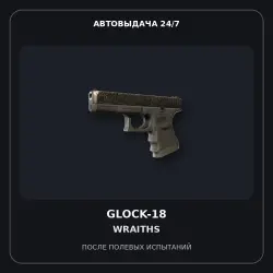 Glock-18 | Wraiths | Field-Tested