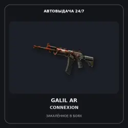 Galil AR | Connexion | Battle-Scarred