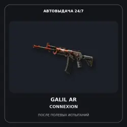 Galil AR | Connexion | Field-Tested