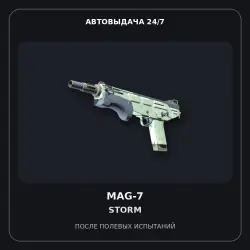 Souvenir MAG-7 | Storm | Field-Tested