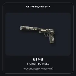USP-S | Ticket to Hell | Field-Tested