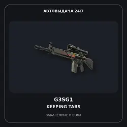 G3SG1 | Keeping Tabs | Battle-Scarred
