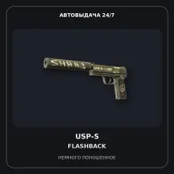 USP-S | Flashback | Minimal Wear