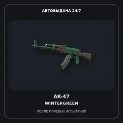 AK-47 | Wintergreen | Well-Worn
