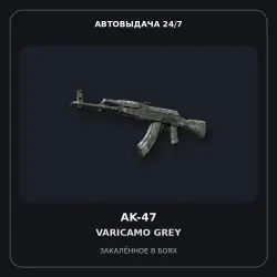 AK-47 | VariCamo Grey | Field-Tested