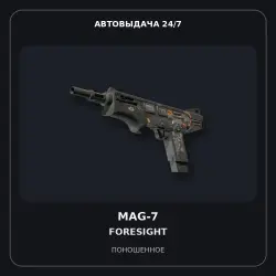 MAG-7 | Foresight | Well-Worn