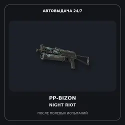 PP-Bizon | Night Riot | Field-Tested