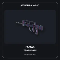 FAMAS | Teardown | Field-Tested