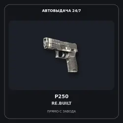 P250 | Re.built | Minimal Wear