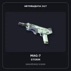 Souvenir MAG-7 | Storm | Battle-Scarred