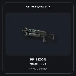 StatTrak PP-Bizon | Night Riot | Minimal Wear