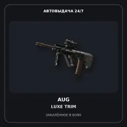 StatTrak AUG | Luxe Trim | Battle-Scarred