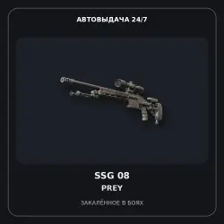Souvenir SSG 08 | Prey | Battle-Scarred