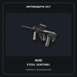 AUG | Steel Sentinel | Field-Tested
