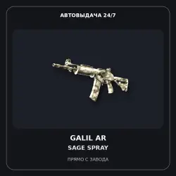 Galil AR | Sage Spray | Minimal Wear