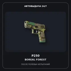 P250 | Boreal Forest | Minimal Wear