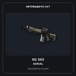 SG 553 | Aerial | Battle-Scarred