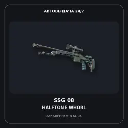 SSG 08 | Halftone Whorl | Minimal Wear