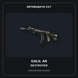 StatTrak Galil AR | Destroyer | Field-Tested