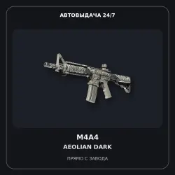 M4A4 | Aeolian Dark | Well-Worn