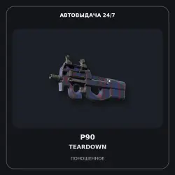 P90 | Teardown | Field-Tested