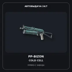 PP-Bizon | Cold Cell | Minimal Wear